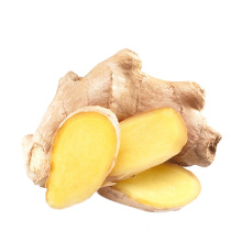 Top quality fresh/dry ginger sellers from Shandong province, China